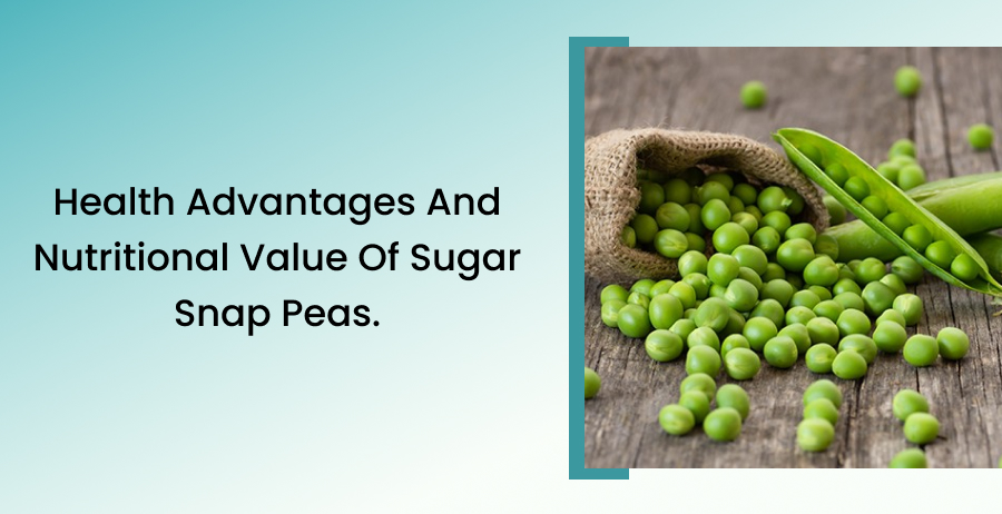 Sugar Snap