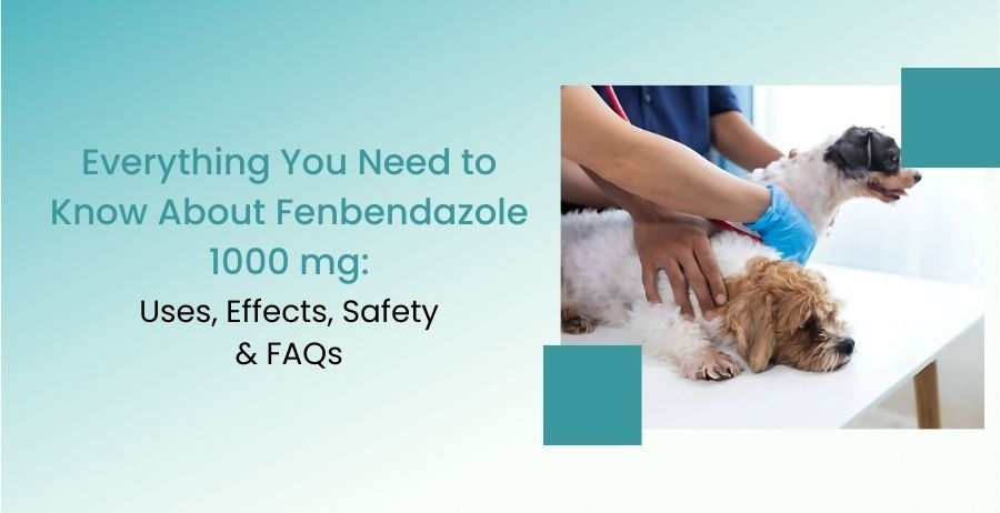Fenbendazole 1000 mg
